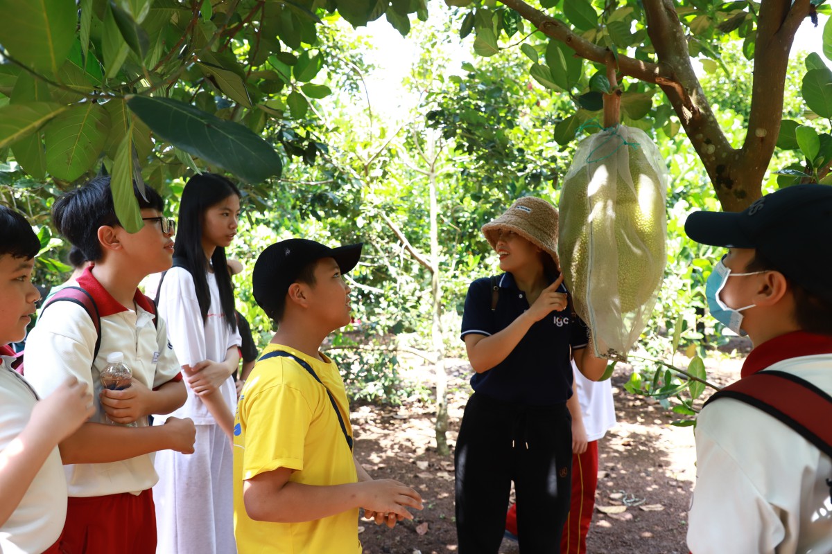 Học sinh IPS Đồng Nai thưởng thức trái cây và vui chơi thỏa thích tại Long Khánh
