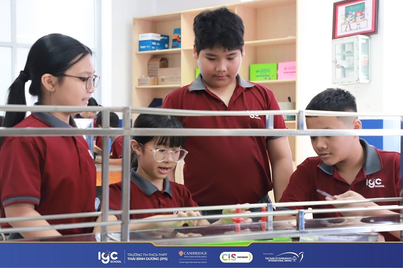 phát triển kỹ năng thế kỷ 21 vào thực tế