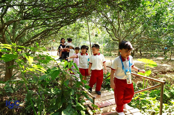 Học sinh trường IPS Đồng Nai tham gia trải nghiệm một ngày tại vườn trái cây Long Khánh