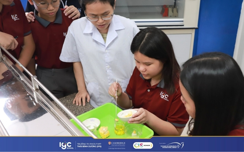 Năng lực thực chứng trong học tập giải đáp học phí trường Cambridge bao nhiêu